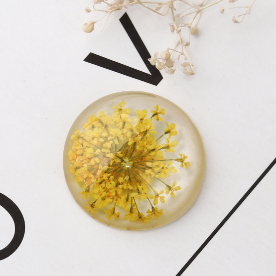 Picture of Resin Dome Seals Cabochon Round Orange Dried Flower Pattern Transparent 25mm(1") Dia, 10 PCs