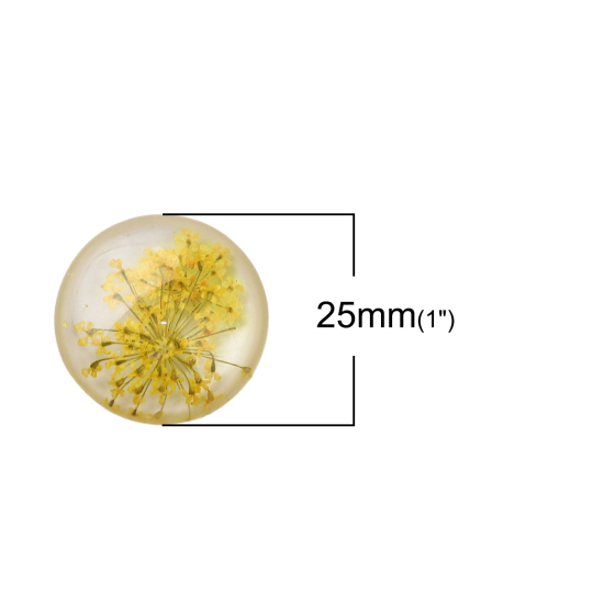 Picture of Resin Dome Seals Cabochon Round Orange Dried Flower Pattern Transparent 25mm(1") Dia, 10 PCs