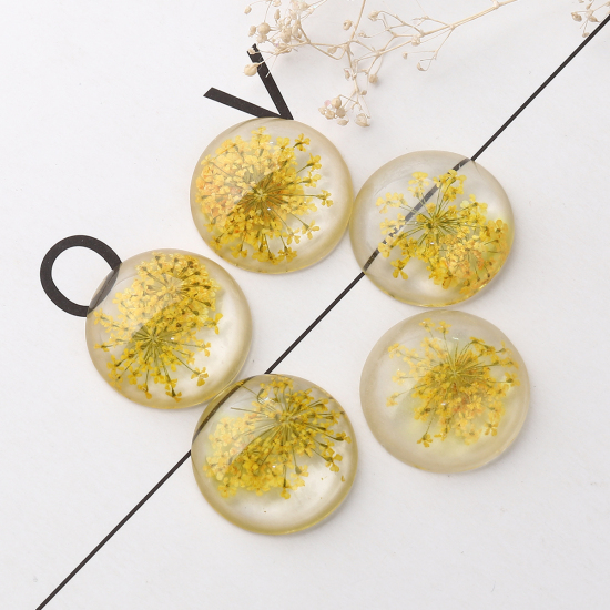 Image de Cabochon Dôme en Résine Rond Orange Fleur Séchée Transparent 25mm Dia, 10 Pcs