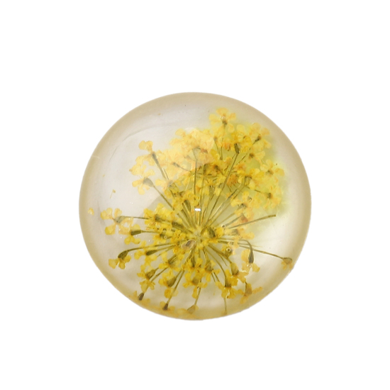 Picture of Resin Dome Seals Cabochon Round Orange Dried Flower Pattern Transparent 25mm(1") Dia, 10 PCs