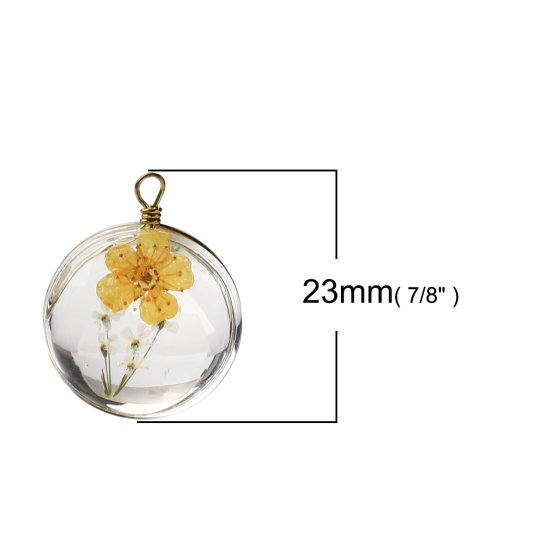 Picture of Brass & Glass Charms Round Dried Flower Orange Transparent 23mm x 18mm, 2 PCs
