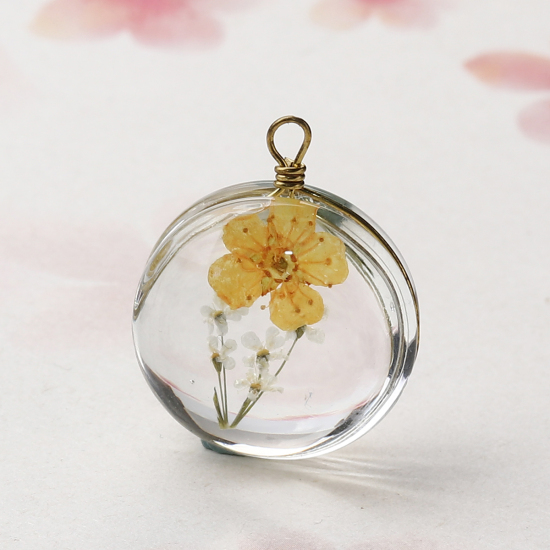 Picture of Brass & Glass Charms Round Dried Flower Orange Transparent 23mm x 18mm, 2 PCs