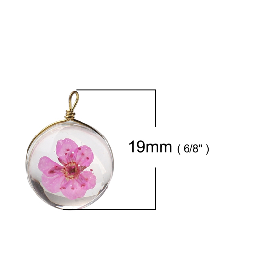 Picture of Brass & Glass Charms Round Dried Flower Hot Pink Transparent 19mm x 14mm, 2 PCs