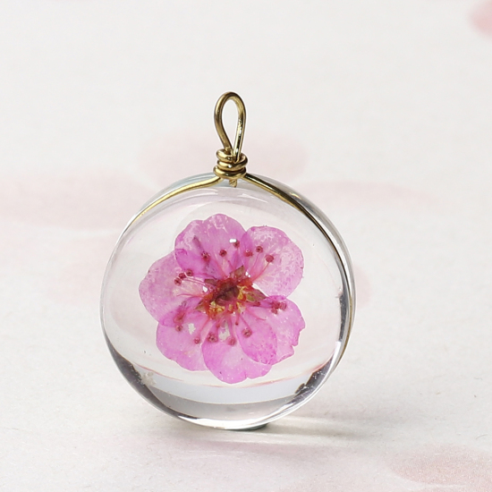 Picture of Brass & Glass Charms Round Dried Flower Hot Pink Transparent 19mm x 14mm, 2 PCs