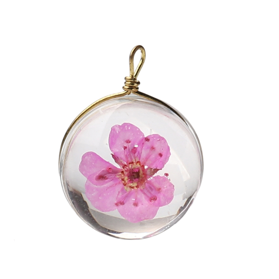 Picture of Brass & Glass Charms Round Dried Flower Hot Pink Transparent 19mm x 14mm, 2 PCs