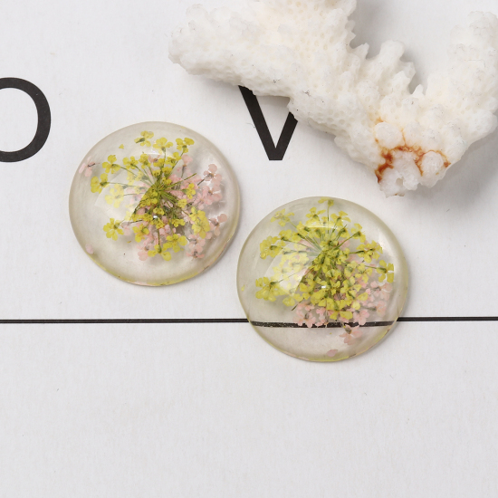 Picture of Resin Dome Seals Cabochon Round Yellow Dried Flower Pattern Transparent 25mm(1") Dia, 10 PCs