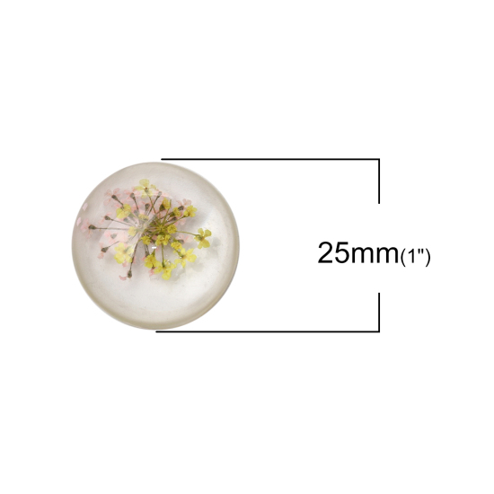 Picture of Resin Dome Seals Cabochon Round Yellow Dried Flower Pattern Transparent 25mm(1") Dia, 10 PCs