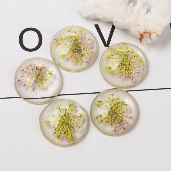 Picture of Resin Dome Seals Cabochon Round Yellow Dried Flower Pattern Transparent 25mm(1") Dia, 10 PCs