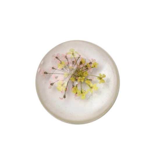 Picture of Resin Dome Seals Cabochon Round Yellow Dried Flower Pattern Transparent 25mm(1") Dia, 10 PCs