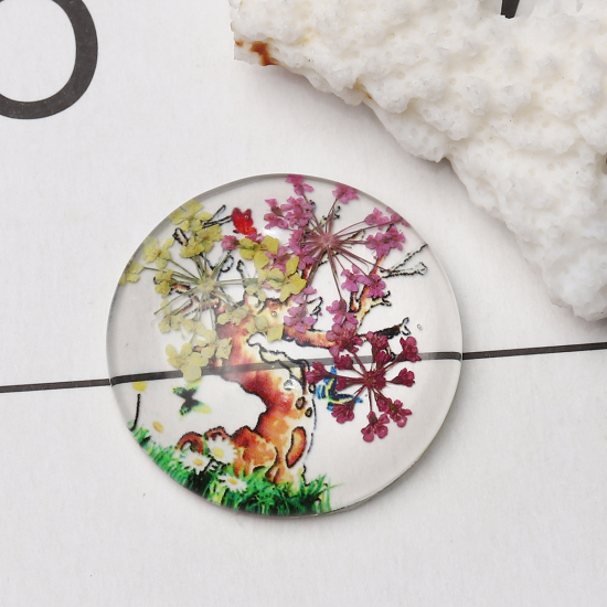 Bild von Glas & Getrockenete Blume Dom Cabochon Verzierung Rund Platt Bunt Bäume Muster Transparent 30mm D., 3 Stück