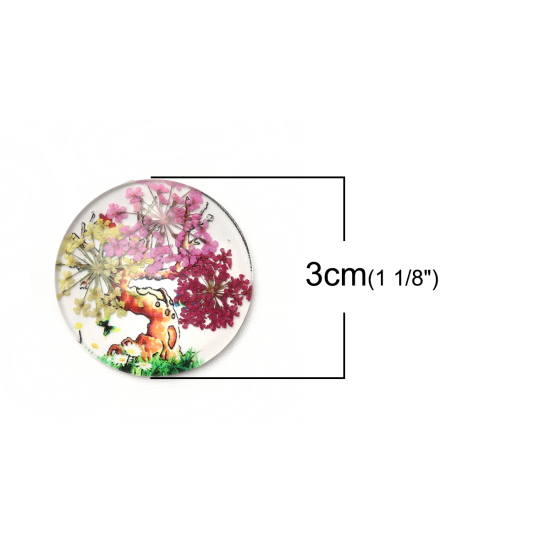 Bild von Glas & Getrockenete Blume Dom Cabochon Verzierung Rund Platt Bunt Bäume Muster Transparent 30mm D., 3 Stück