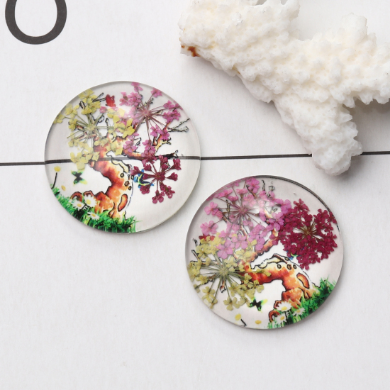 Bild von Glas & Getrockenete Blume Dom Cabochon Verzierung Rund Platt Bunt Bäume Muster Transparent 30mm D., 3 Stück
