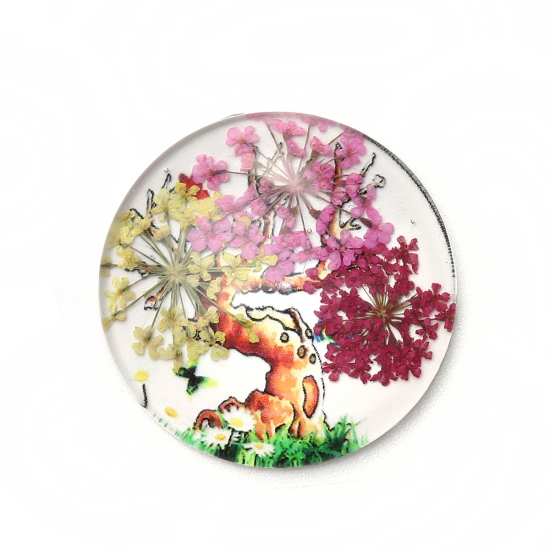 Bild von Glas & Getrockenete Blume Dom Cabochon Verzierung Rund Platt Bunt Bäume Muster Transparent 30mm D., 3 Stück
