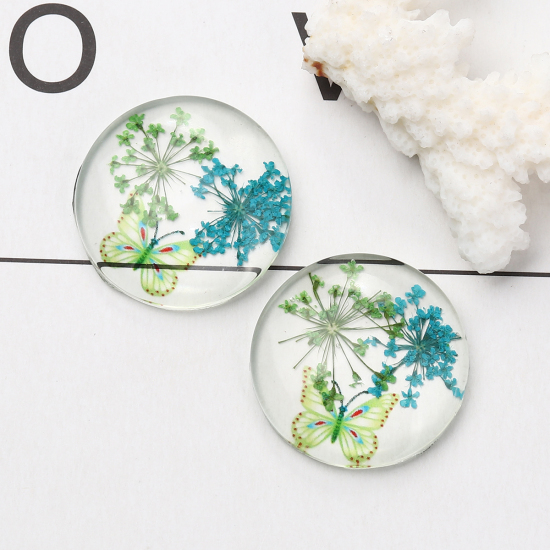 Picture of Glass & Dried Flower Dome Seals Cabochon Round Flatback Green Butterfly Pattern Transparent 30mm(1 1/8") Dia, 3 PCs