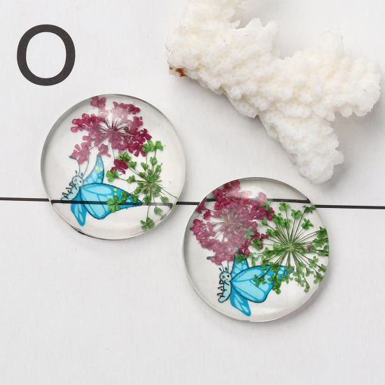 Picture of Glass & Dried Flower Dome Seals Cabochon Round Flatback Multicolor Butterfly Pattern Transparent 30mm(1 1/8") Dia, 3 PCs