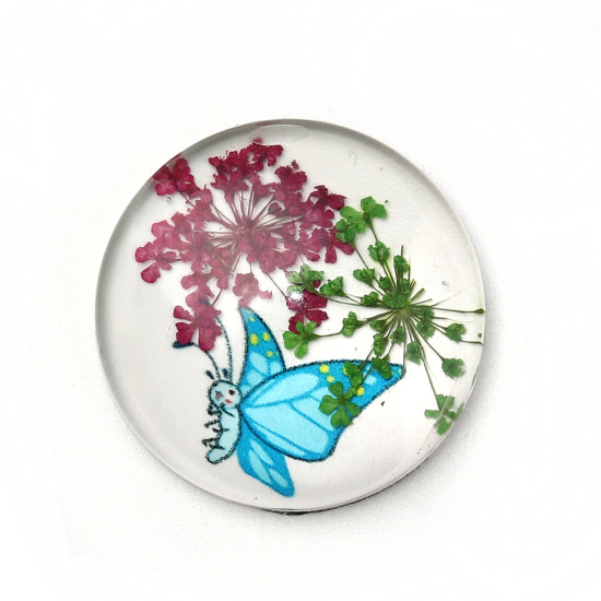 Bild von Glas & Getrockenete Blume Dom Cabochon Verzierung Rund Platt Bunt Schmetterling Muster Transparent 30mm D., 3 Stück