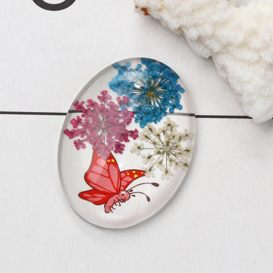 Picture of Glass & Dried Flower Dome Seals Cabochon Oval Flatback Multicolor Butterfly Pattern Transparent 40mm(1 5/8") x 30mm(1 1/8"), 3 PCs