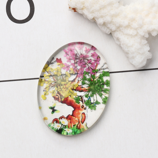 Picture of Glass & Dried Flower Dome Seals Cabochon Oval Flatback Multicolor Tree Pattern Transparent 40mm(1 5/8") x 30mm(1 1/8"), 3 PCs