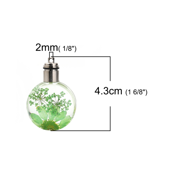 ガラス＆ドライ　フラワー　ペンダント　ラウンド　菊花　緑　透明LED発光　43mm（1/6 "）x 30mm（1 1/8"）、２個 の画像