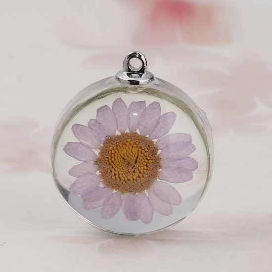 Picture of Glass & Dried Flower Pendants Round Chrysanthemum Flower Mauve Transparent 35mm(1 3/8") x 30mm(1 1/8"), 2 PCs