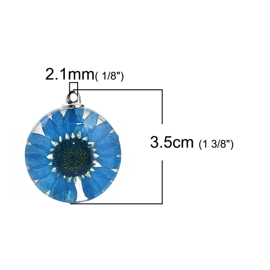 Immagine di Vetro & Fiore Reale Secchi Ciondoli Tondo Camelia Blu Pavone Trasparente 35mm x 30mm, 2 Pz
