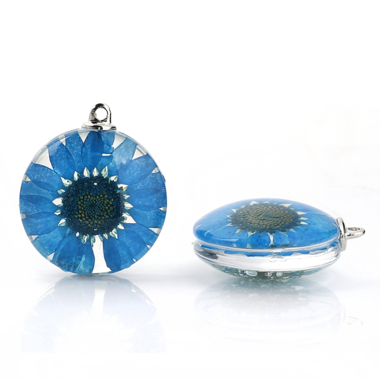 Immagine di Vetro & Fiore Reale Secchi Ciondoli Tondo Camelia Blu Pavone Trasparente 35mm x 30mm, 2 Pz
