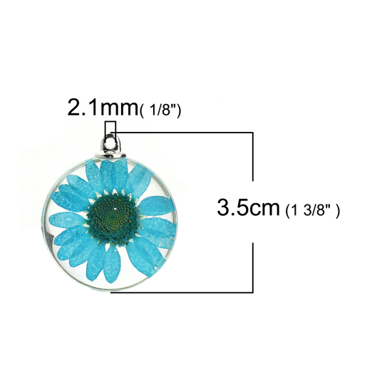 Immagine di Vetro & Fiore Reale Secchi Ciondoli Tondo Camelia Lago Blu Trasparente 35mm x 30mm, 2 Pz