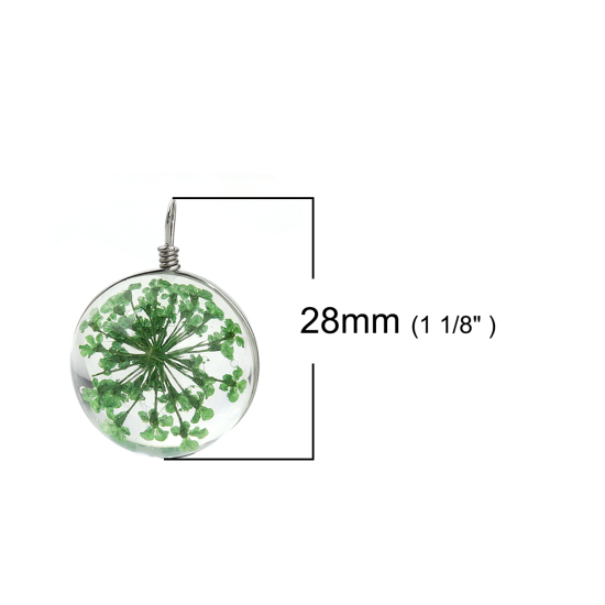 Immagine di Vetro & Fiore Reale Secchi Charms Palla Verde Trasparente 28mm x 20mm, 2 Pz