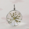 Изображение Glass & Dried Flower Charms Ball White Transparent 28mm(1 1/8") x 20mm( 6/8"), 2 PCs