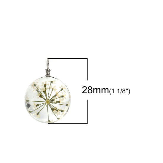 Imagen de Vidrio & Flor Seco Colgantes Charms Bola Blanco Transparente 28mm x 20mm, 2 Unidades