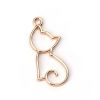 Picture of Zinc Based Alloy Charms Cat Animal Hollow