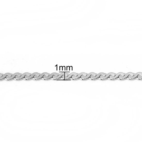 304ステンレス鋼 デザインチェーン ネックレス S字型 シルバートーン 50.5cm長さ、 チェーンサイズ: 1mm、 1 本 の画像