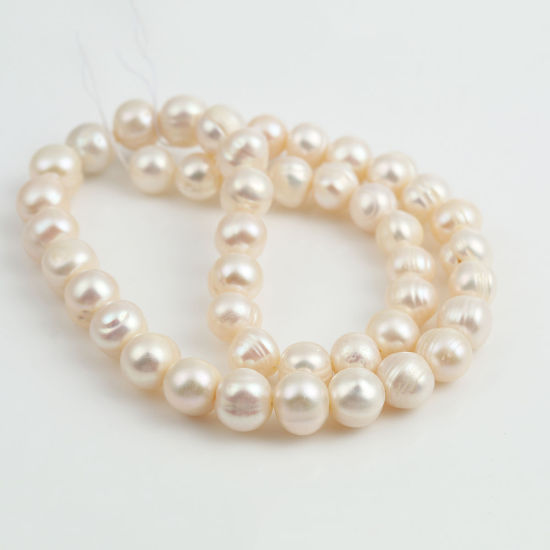 Image de (Naturel) Perles de Culture d'Eau Douce Perles Rond Blanc, 10mm Dia. - 9mm Dia., Trou: 0.5mm, 10 Pcs