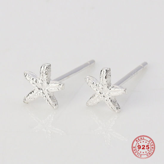 Picture of Sterling Silver Ocean Jewelry Ear Post Stud Earrings Silver Star Fish 6mm x 6mm, Post/ Wire Size: (21 gauge), 1 Pair