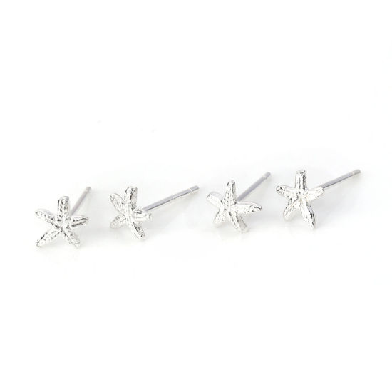 Picture of Sterling Silver Ocean Jewelry Ear Post Stud Earrings Silver Star Fish 6mm x 6mm, Post/ Wire Size: (21 gauge), 1 Pair