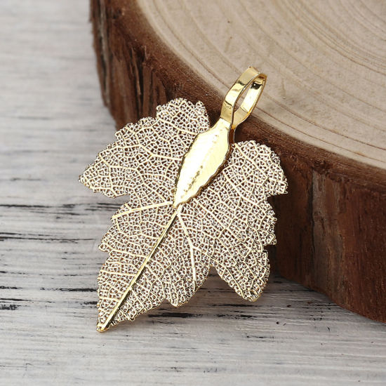Picture of Brass Pendants Maple Leaf Champagne Gold 36mm x28mm(1 3/8" x1 1/8") - 34mm x27mm(1 3/8" x1 1/8"), 2 PCs                                                                                                                                                       