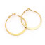 Imagen de 316 Acero Inoxidable Pendientes Círculos Chapado en Oro Ronda Espiras 30mm Dia., Post/ Wire Size: (20 gauge), 1 Par”