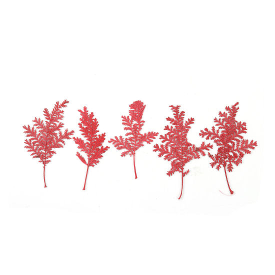 Bild von Naturelle Blätter  Harz Schmuck Handwerk Füllmaterial Blätter Rot Mit zufälligen Muster 7.8cm x 5.2cm - 4.5cm x 2.8cm, 1 Packung ( 10 Stück/Packung)