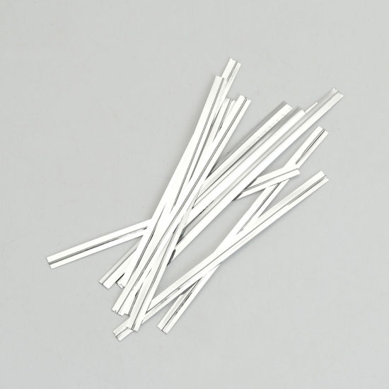 Picture of PET Twist Ties Rectangle Silver 80mm(3 1/8") x 3mm( 1/8") , 1 Packet (Approx 800 PCs/Packet)