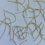 Imagen de 304 Acero Inoxidable Pinchos Chapado en Oro 5cm longitud, 0.7mm (21 gauge), 30 Unidades