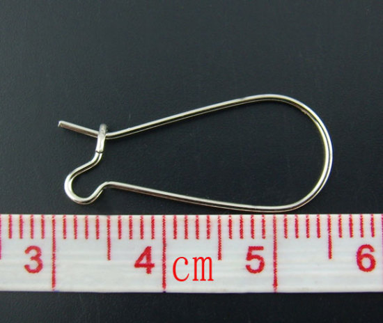 Picture of Alloy Kidney Ear Wire Hooks Earring Findings Silver Tone 25mm x 11mm, Post/ Wire Size: (21 gauge), 250 PCs