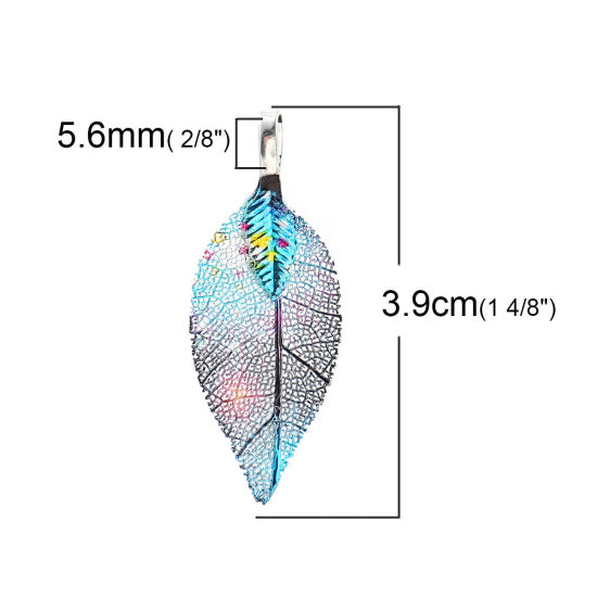 Изображение Латунь + Природный Лист Подвески Разноцветный 39мм x 15мм, 2 ШТ