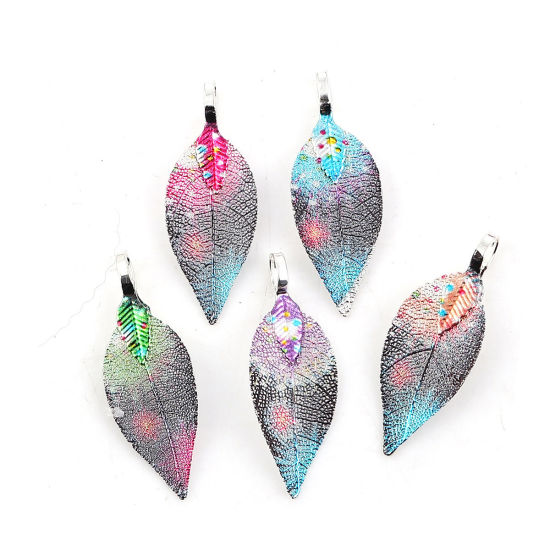 Изображение Латунь + Природный Лист Подвески Разноцветный 39мм x 15мм, 2 ШТ