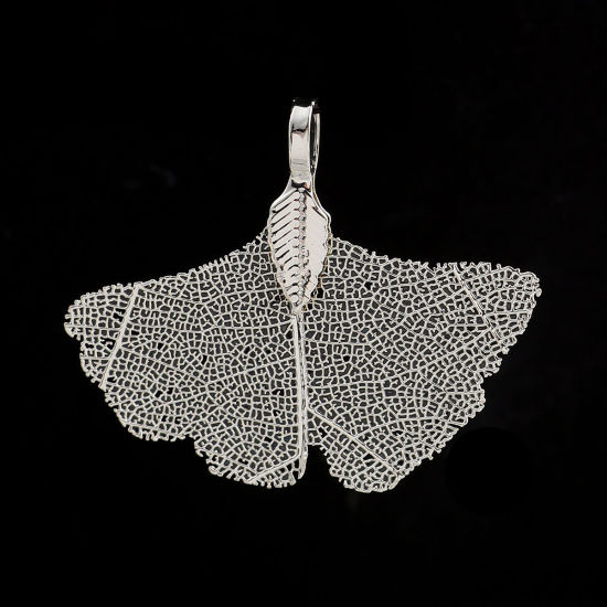 Picture of Brass & Natural Leaf Pendants Gingko Leaf Silver Plated 40mm(1 5/8") x 34mm(1 3/8"), 2 PCs                                                                                                                                                                    