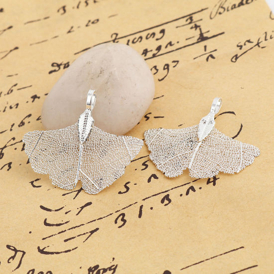 Immagine di Ottone & Foglia Naturale Ciondoli Foglia di Gingko Argento Placcato 40mmx 34mm, 2 Pz