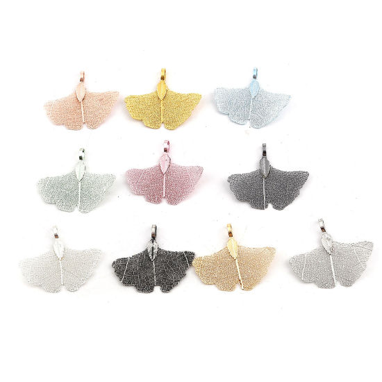 Immagine di Ottone & Foglia Naturale Ciondoli Foglia di Gingko Argento Placcato 40mmx 34mm, 2 Pz