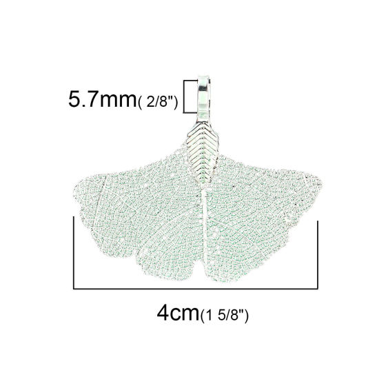 Immagine di Ottone & Foglia Naturale Ciondoli Foglia di Gingko Verde 40mmx 34mm, 2 Pz