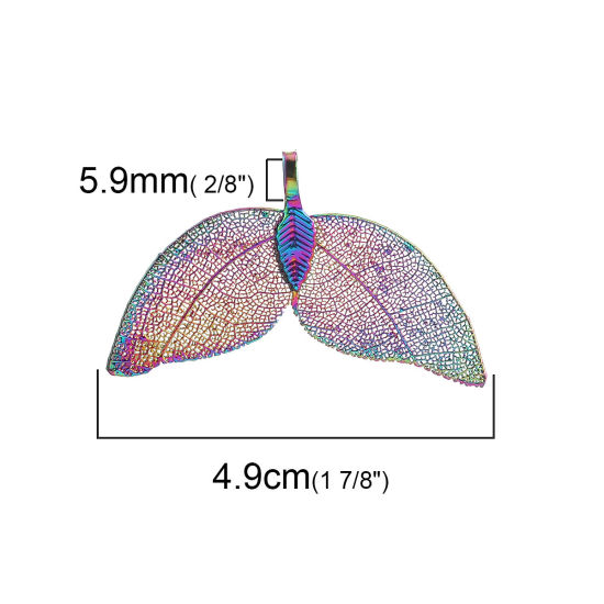 Immagine di Ottone & Foglia Naturale Ciondoli Ali di Angelo Multicolore 49mmx 30mm, 2 Pz