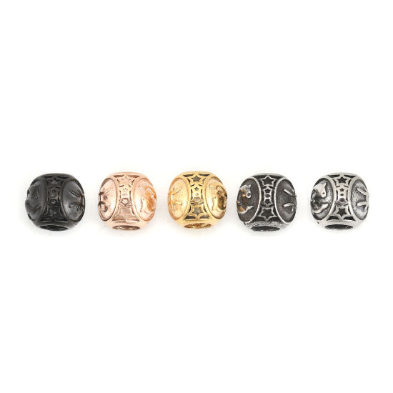 Picture of 304 Stainless Steel Casting Beads Round Gunmetal Pisces Sign Of Zodiac Constellations About 10mm Dia., Hole: Approx 4.3mm, 1 Piece