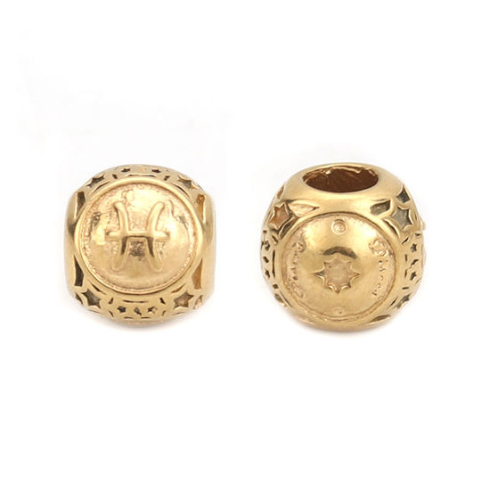 Imagen de 304 Acero Inoxidable Fundición Cuentas Ronda Chapado en Oro Constelación Piscis 10mm Diámetro, Agujero: Aprox 4.3mm, 1 Unidad